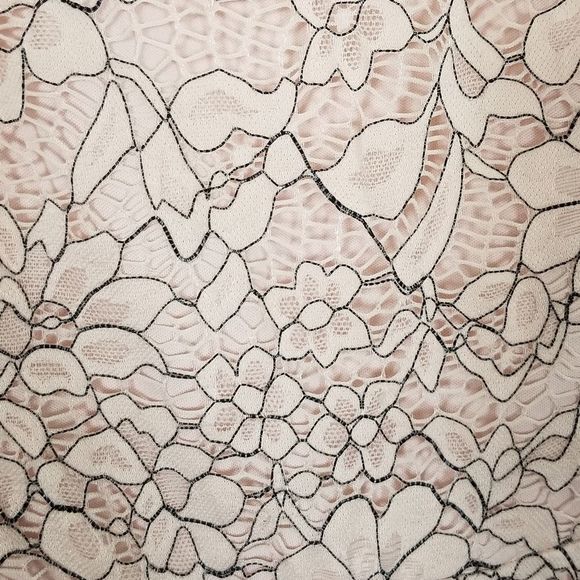 Lace Fit and Flare Dress LILY ROSE Pink/Grey - Picture 9 of 12